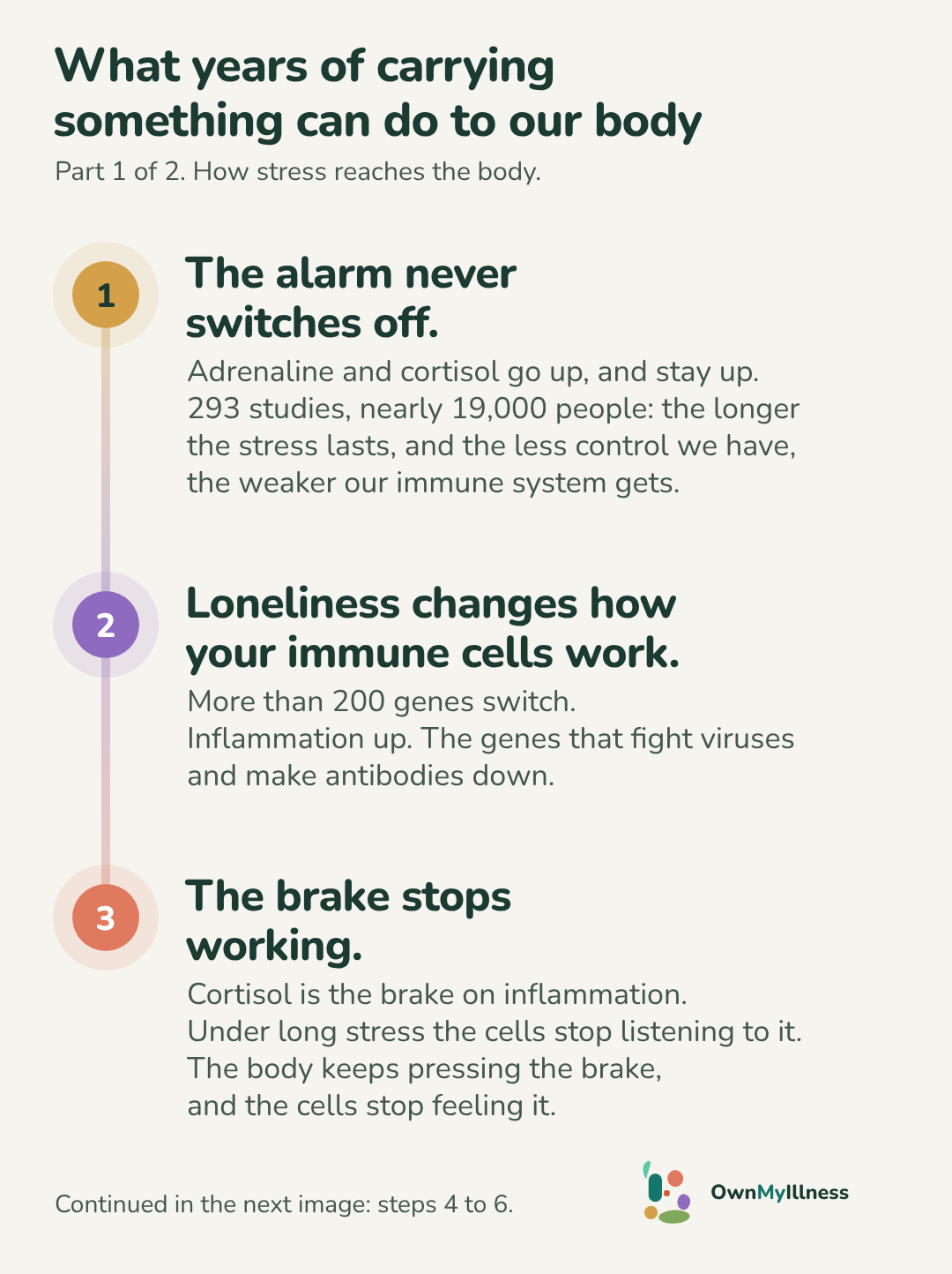 An illustrated list titled "What years of carrying something can do to our body," part 1 of 2. Step 1, the alarm never switches off: adrenaline and cortisol stay up, and the longer the stress lasts the weaker the immune system gets. Step 2, loneliness changes how your immune cells work: inflammation genes switch up, the genes that fight viruses switch down. Step 3, the brake stops working: under long stress the cells stop listening to cortisol and inflammation runs free. Continued in the next image: steps 4 to 6.